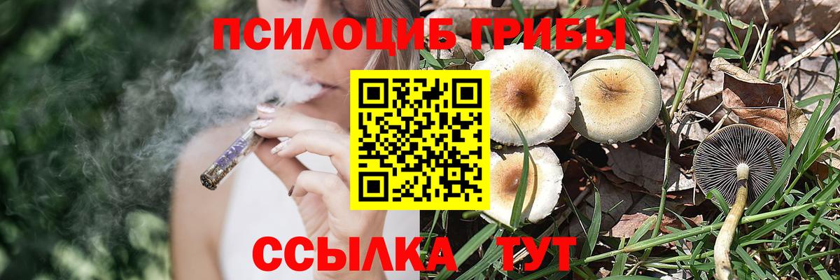 Псилоцибиновые грибы Magic Shrooms  Псилоцибиновые грибы Cubensis  Вход с VPN  Кострома 